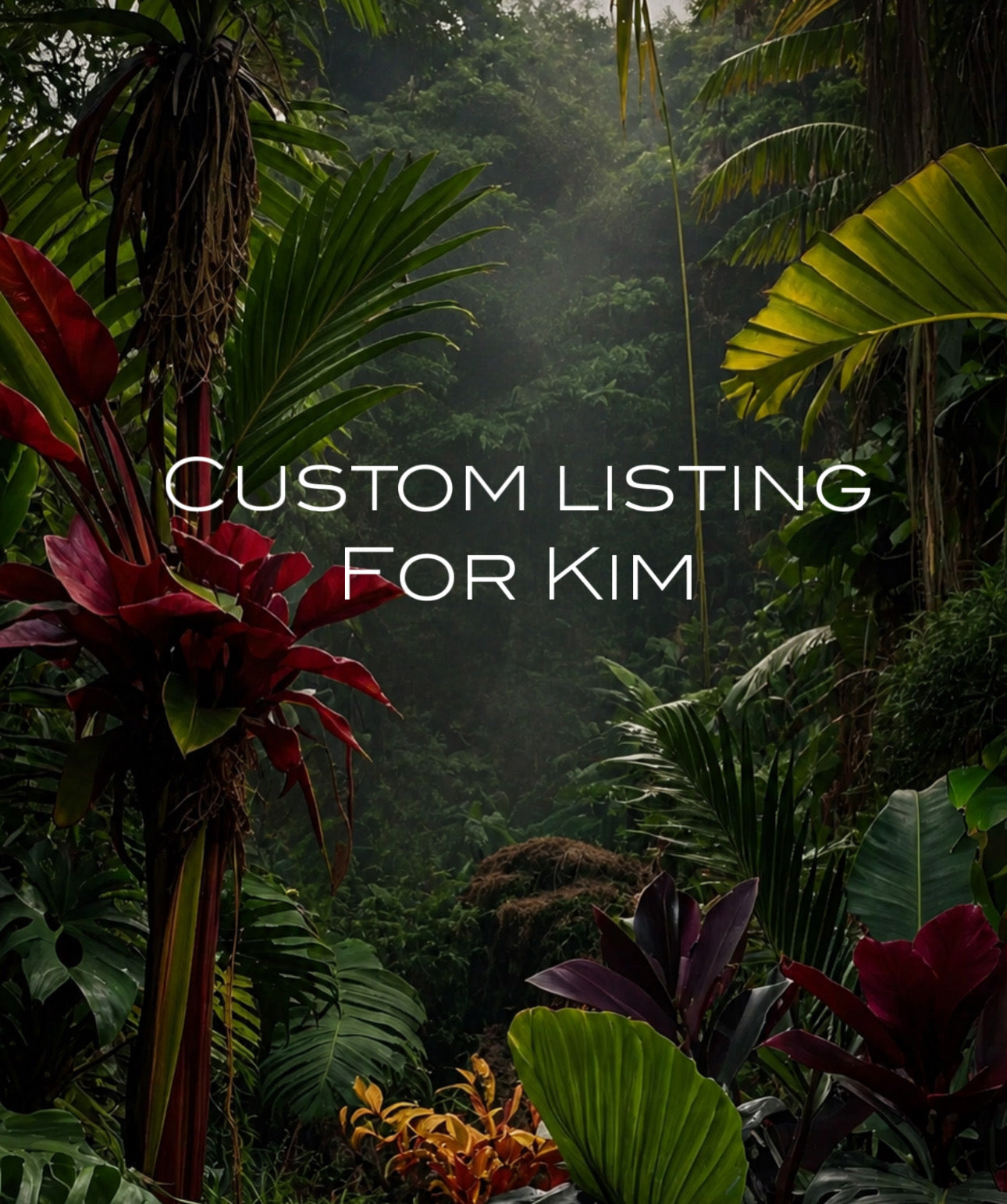 Custom Listing for Kim